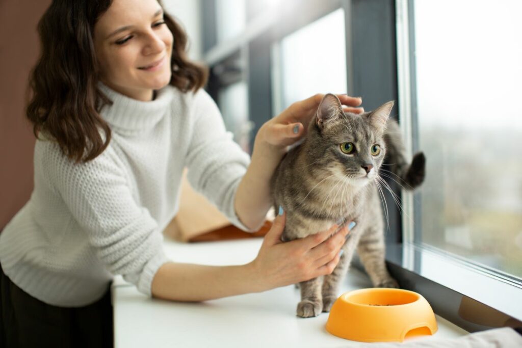 Cat Cafes in London