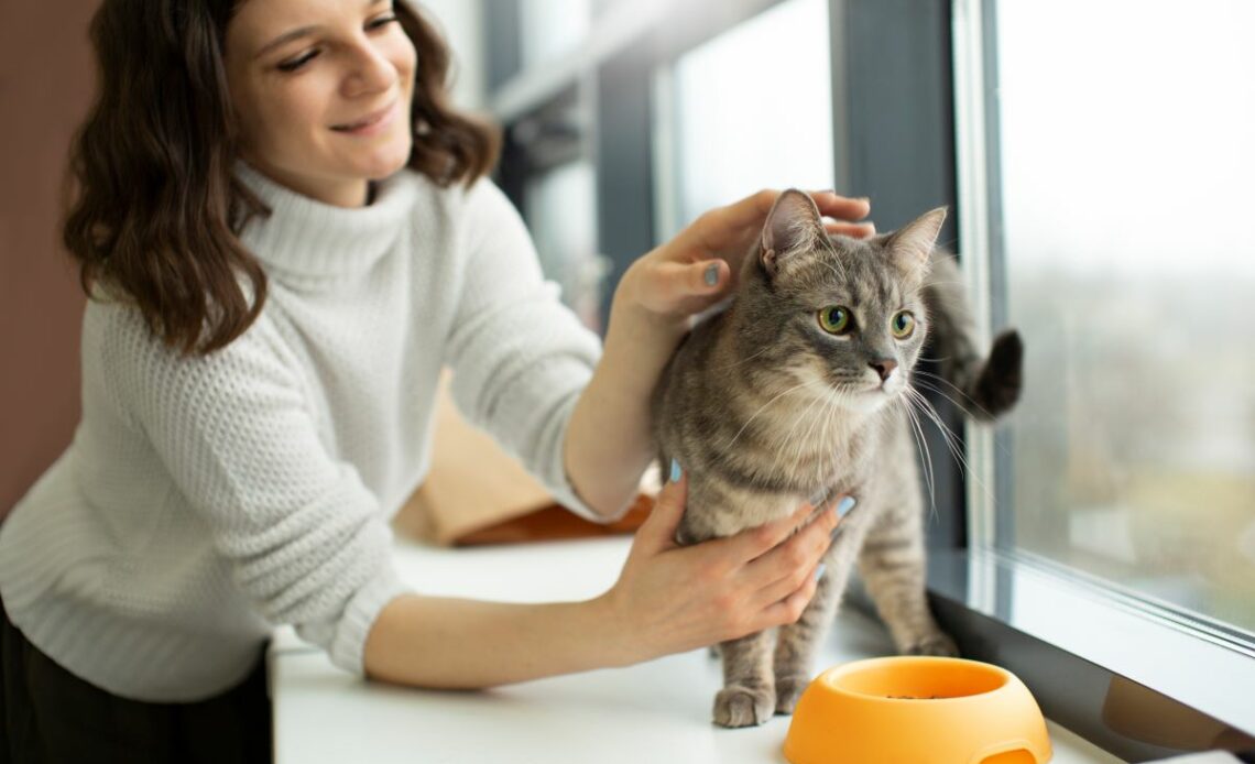 Cat Cafes in London