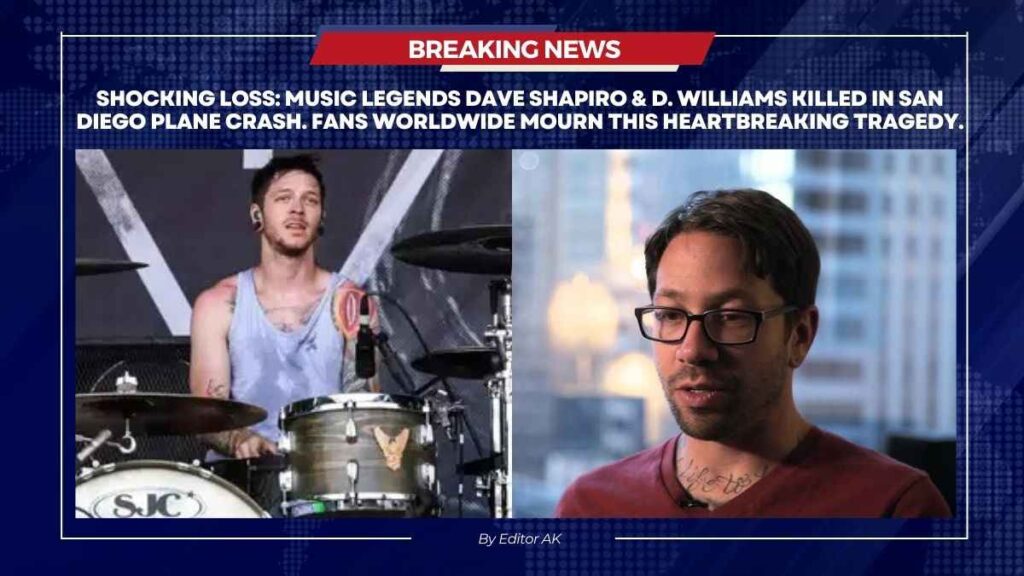 San Diego Plane Crash Kills Music Icons Dave Shapiro, D. Williams